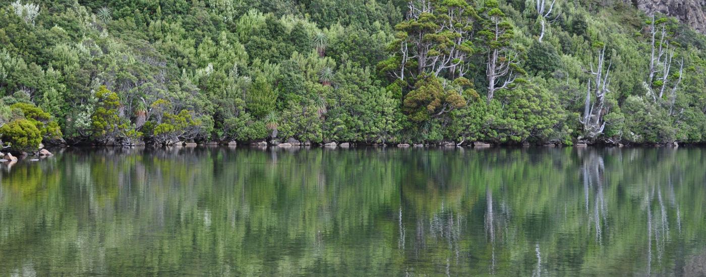 Hartz Mountains, Tasmania, Image credit: Emily Chapman-Searle