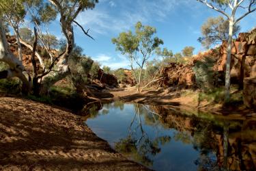 Part of Weeli Wolli Creek a billabong in Western Australia
